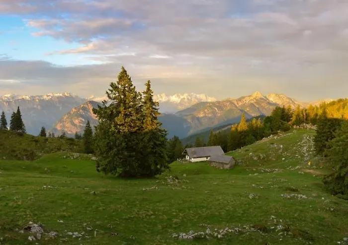 Harmonie * Inzell