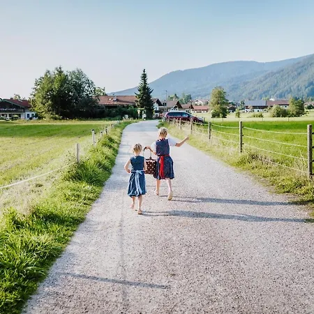 Harmonie Apartamento *